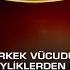 Cem Yılmaz Erkek Vücudu Derebeyliklerden Oluşur