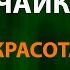 Би 2 и Мария Чайковская Красота Текст Lyrics