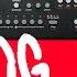 FIRST LOOK JAMS Analog Keys