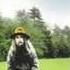George Harrison Ballad Of Sir Frankie Crisp Let It Roll