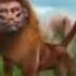 BBC Дикий мир будущего Ледниковый период
