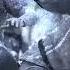 Game Of Thrones Warriors Of The World Manowar