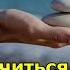 Как научиться никогда не злиться 3 совета от нейробиологов