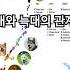 개와 늑대는 같은 동물