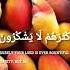 Surah Surahnamal Tilawat Quran Trending New Allah Peace Quranmemorization Zikri Qurantilawat