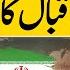 Fears Of New War To Emerge Between Iran And United States Anwar Iqbal Analysis Dawn News