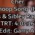 Cher The Shoop Shoop Song Nikolas Sibley Radio Edit HD Remaster