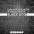 Ultimate Breakers Julio Okura Black Bird Original Mix