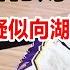内乱爆发 哈雷尔发推疑似向湖人大帅开炮 杨毅透露浓眉受伤真因
