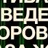 Гипноз Мотивация на ведение здорового образа жизни