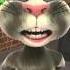 Talking Tom Singing Faded