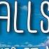 Alan Walker All Falls Down Feat Noah Cyrus With Digital Farm Animals Lyrics