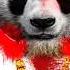 Bennynobarba Panda Rmx