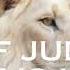 Powerful Soaking Worship Instrumental Lion Of Judah My Trust Is In You