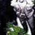 R A P Reggae Rockers