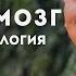 Йонге Мингьюр Ринпоче Будда мозг и нейрофизиология счастья Аудиокнига Озвучка Андрей Назимов