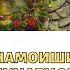 НАМОИШИ ҲУНАРҲОИ МИЛЛИ МАРДУМӢ