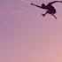 PRIDE KENDRICK LAMAR SWANG RAE SREMMURD SPIDER VERSE AMV