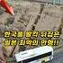 한국을 발칵 뒤집은 일본 최악의 만행