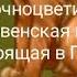 Посвящается моим друзьям собирателям