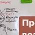 Физиология возбудимых тканей 2 Проведение возбуждения Нервные волокна Синапсы и медиаторы