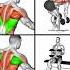 How To Get A WIDER BACK Music Beats Slowedandreverb Remix Experimentalphonk Motivation