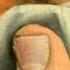 JOHN DOWLAND I Saw My Lady Weepe 1600 For Lute And Voice
