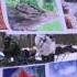 Учебная Сотня МАБУТА РФ