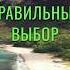 Притча со Смыслом Правильный Выбор мудрость притчи саморазвитие