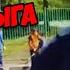 Боец ставит на колени фейкового алкоборца Real Video