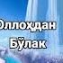 Бу дунё арзимас фидо булишга