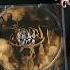 Arallu En Olam Look At CD