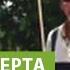 Как правильно посадить и ухаживать за плетистой розой