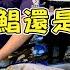 基隆崁仔頂 機會來了 深夜極品白鯧拍賣 你要吃白鯧還是肉魚
