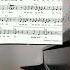 ЛЕТО АХ ЛЕТО А ПУГАЧЕВА на пианино туториалпианино Piano музыка песня Music