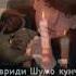 Дарси Адаб