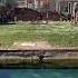 Goddess Vesta Hestia Ancient Temple History Ancient Rome Women S Life