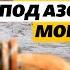 Эта вода не пригодна для питья эксперт о добыче воды из под Азовского моря