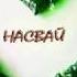 ЧЕГЛАКОВ НАСВАЙ