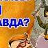 Смешные и странные указы Петра I Как в интернете оклеветали Петра Первого Что фейк а что правда