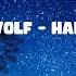 City Wolf Hands Up LYRIC VIDEO ReadyForMusic