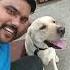 Funny Utube Trending Viralvideo Dogs Dosti Yarana Motivation