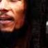 Bob Marley Sunshine Reggae