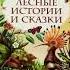 Лесные истории и сказки Виталий Бианки