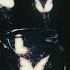 There S Nothing Holding Me Back Shawn Mendes Slowed Reverb