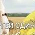 Караоке Сергей Одинцов Я назову тебя любимая
