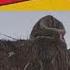 PLUMAS Roi Méndez REACCION OT2017