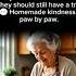 The Old Woman Who Baked Biscuits For Shelter Dogs USA Wholesome Heartwarmingstory