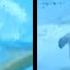 How To Swim Breaststroke PERFECTLY