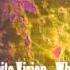 White Vision When You Make Love Canada AOR 1995